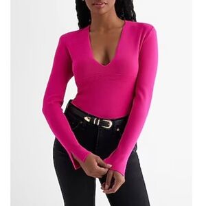 Express Fuchsia Long Sleeve V-Neck Top